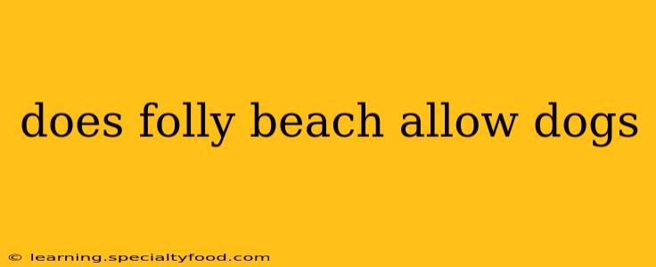 does folly beach allow dogs