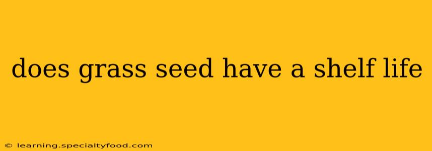 does grass seed have a shelf life