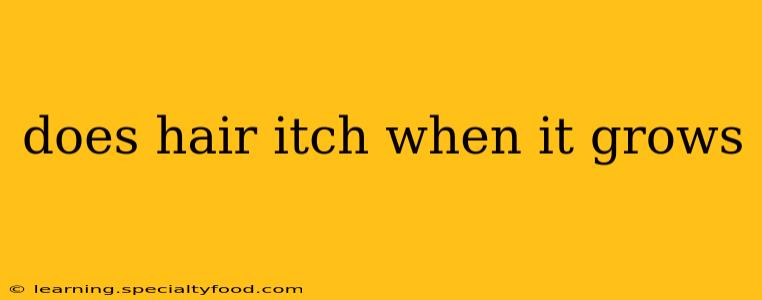 does hair itch when it grows