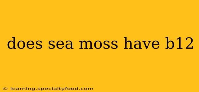 does sea moss have b12