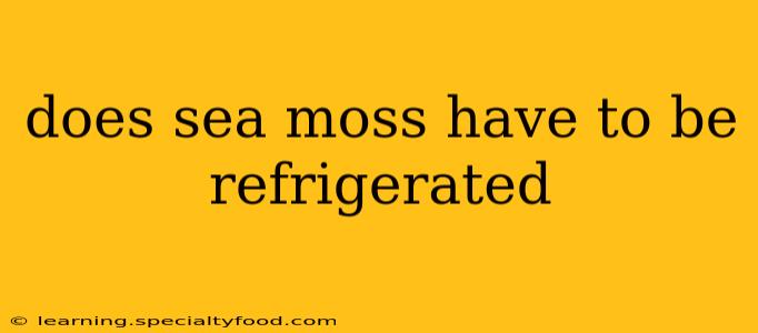 does sea moss have to be refrigerated