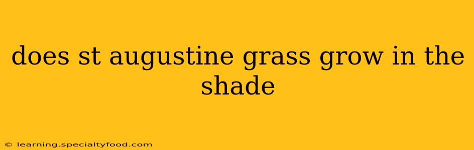 does st augustine grass grow in the shade