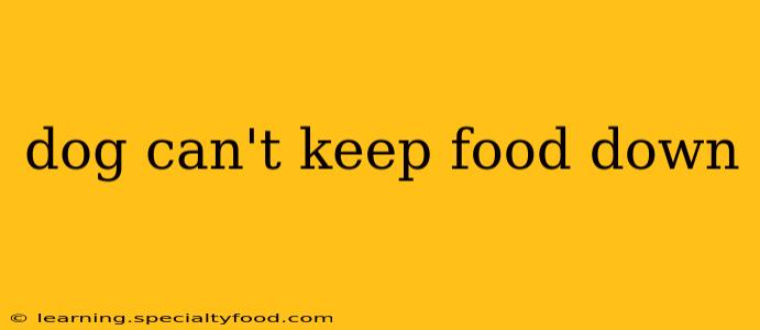 dog can't keep food down
