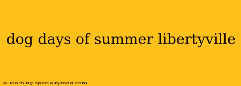 dog days of summer libertyville