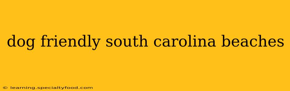 dog friendly south carolina beaches