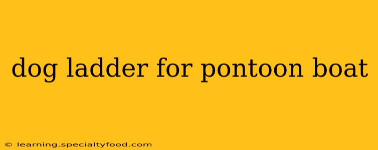 dog ladder for pontoon boat