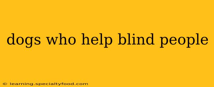 dogs who help blind people