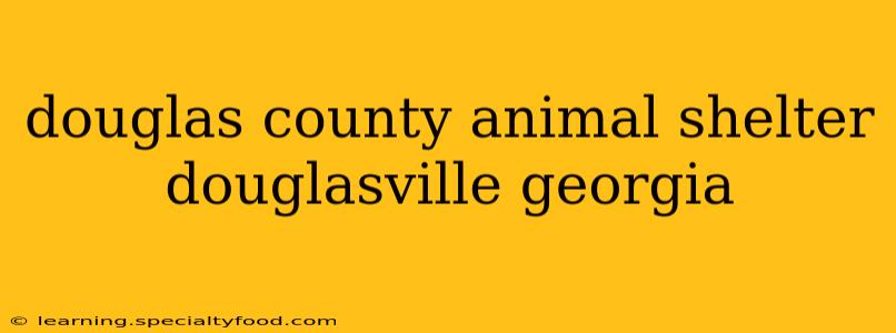 douglas county animal shelter douglasville georgia