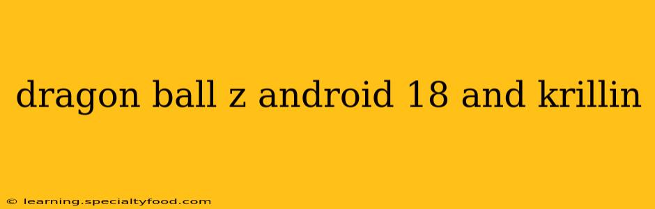 dragon ball z android 18 and krillin