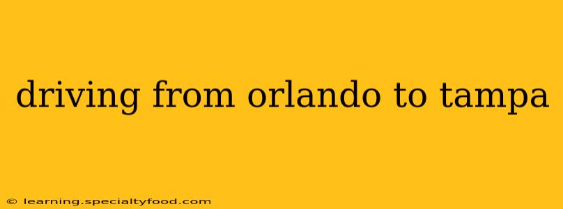 driving from orlando to tampa