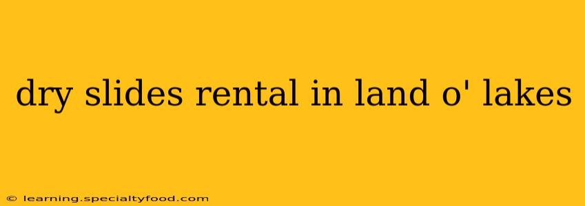 dry slides rental in land o' lakes