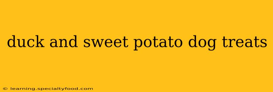 duck and sweet potato dog treats
