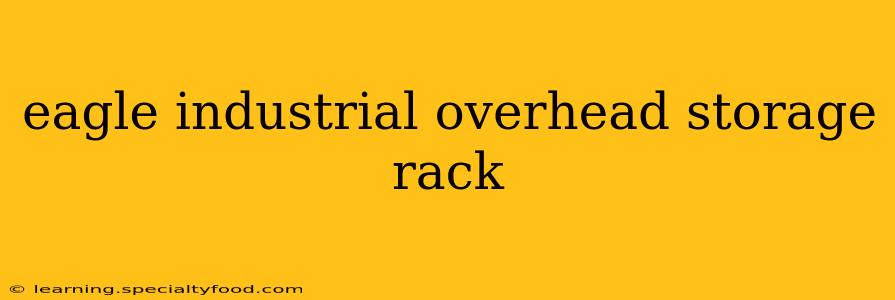 eagle industrial overhead storage rack