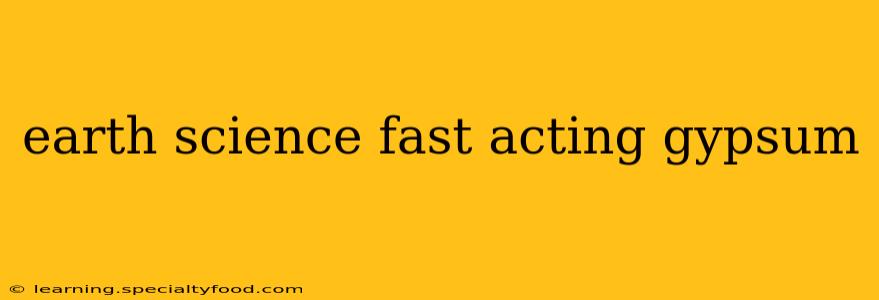 earth science fast acting gypsum