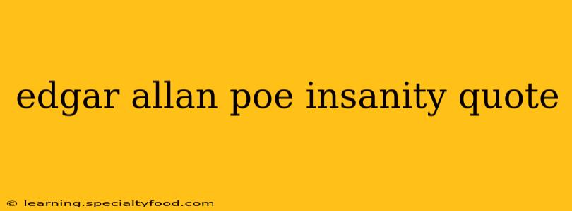 edgar allan poe insanity quote