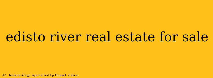 edisto river real estate for sale