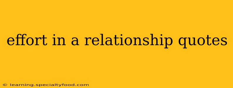 effort in a relationship quotes