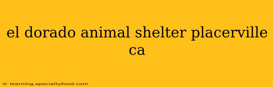 el dorado animal shelter placerville ca