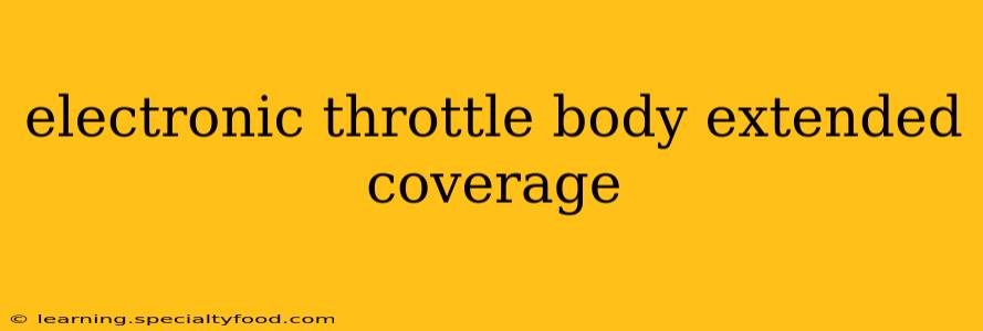electronic throttle body extended coverage