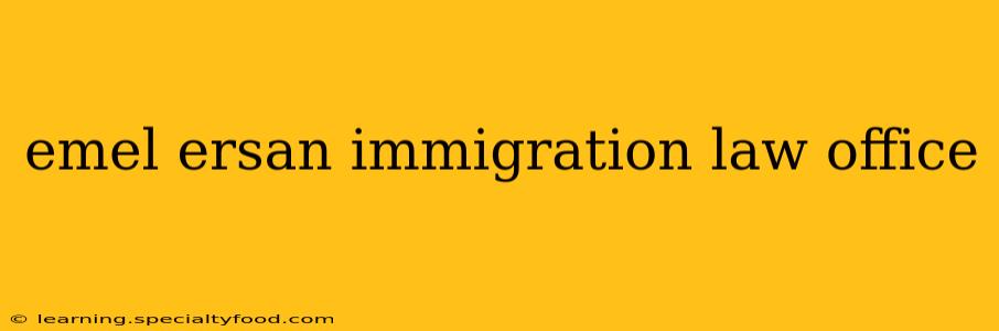 emel ersan immigration law office