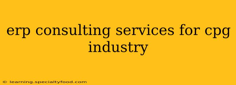 erp consulting services for cpg industry