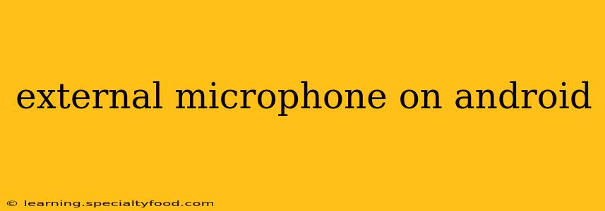 external microphone on android