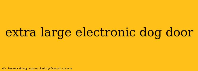 extra large electronic dog door