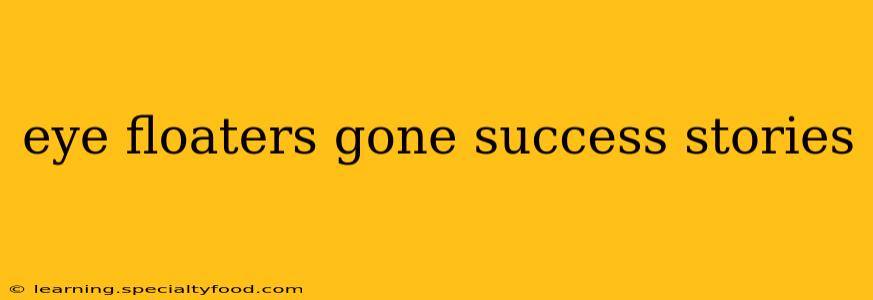 eye floaters gone success stories