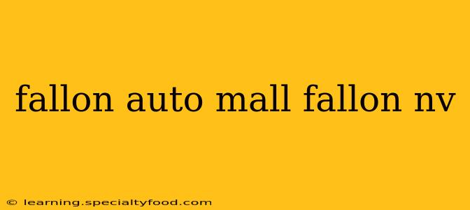 fallon auto mall fallon nv