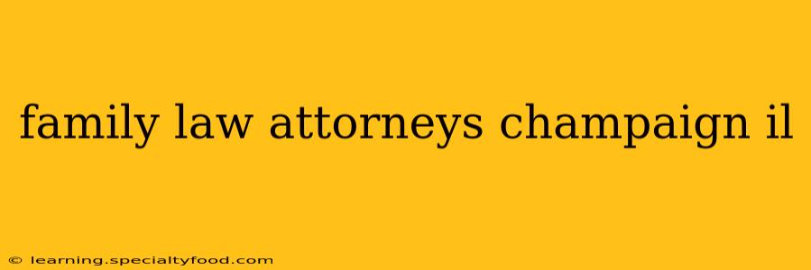 family law attorneys champaign il