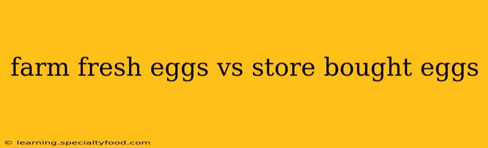 farm fresh eggs vs store bought eggs