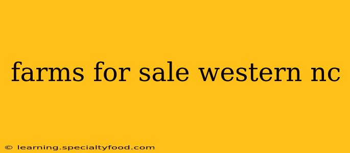 farms for sale western nc