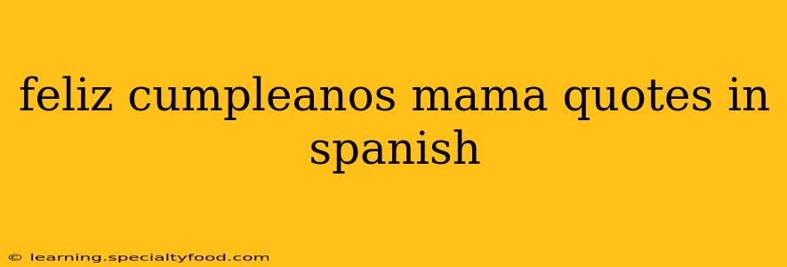 feliz cumpleanos mama quotes in spanish