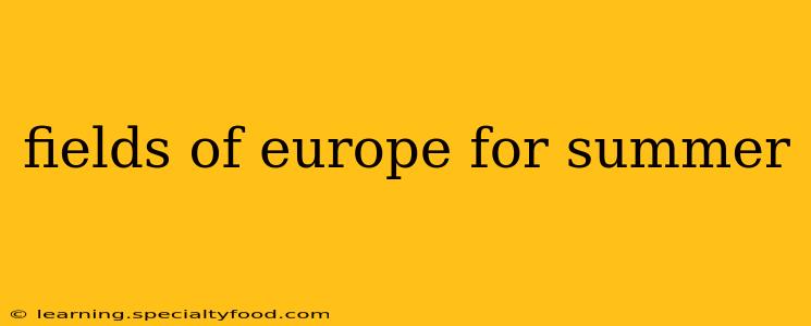 fields of europe for summer