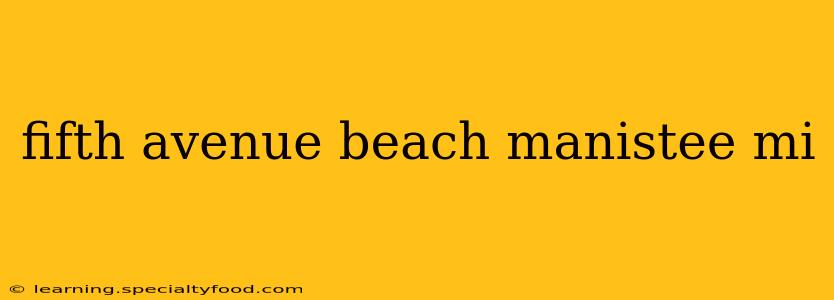 fifth avenue beach manistee mi
