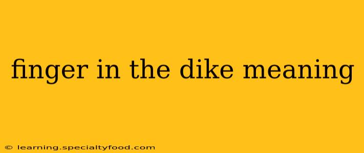 finger in the dike meaning