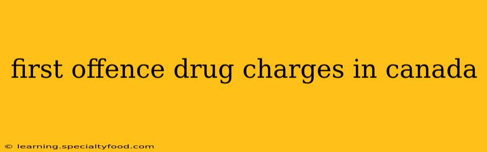 first offence drug charges in canada