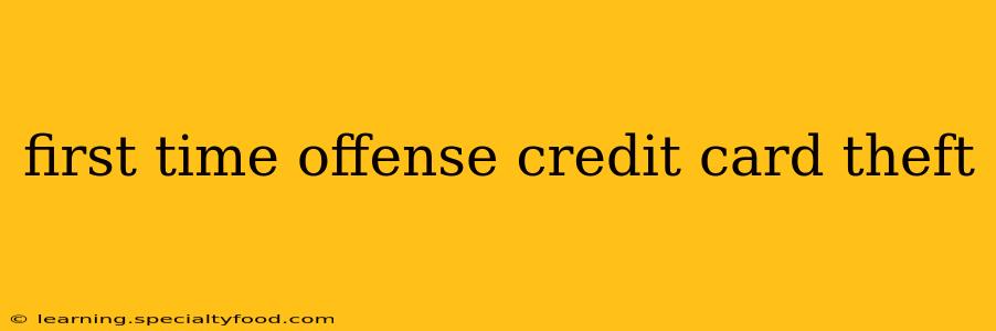 first time offense credit card theft