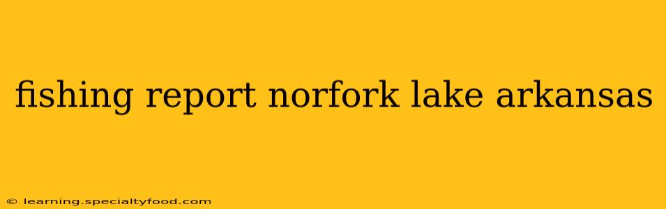 fishing report norfork lake arkansas