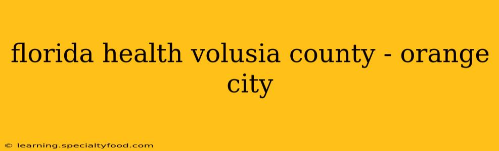 florida health volusia county - orange city