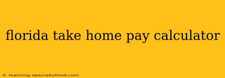 florida take home pay calculator