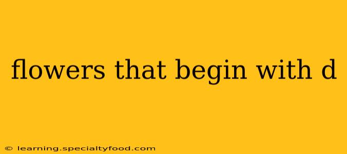 flowers that begin with d