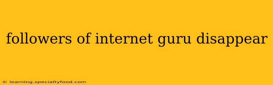 followers of internet guru disappear