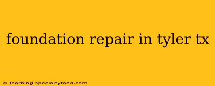 foundation repair in tyler tx