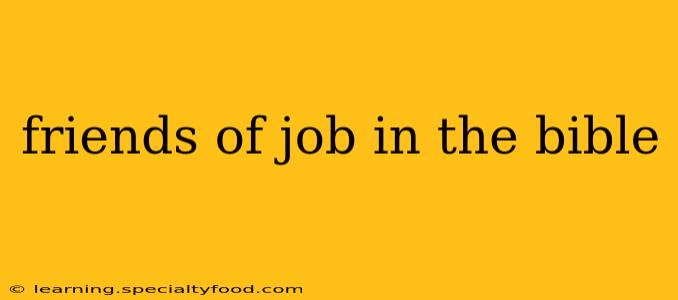 friends of job in the bible