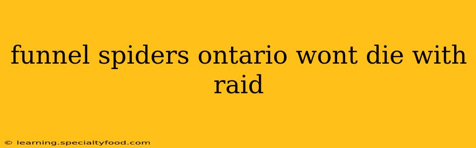 funnel spiders ontario wont die with raid