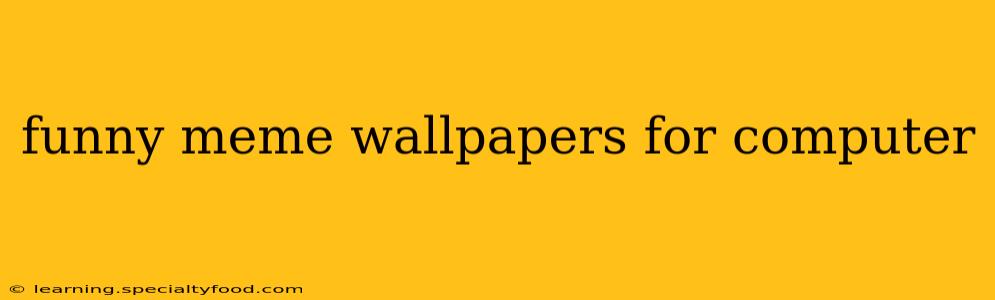 funny meme wallpapers for computer