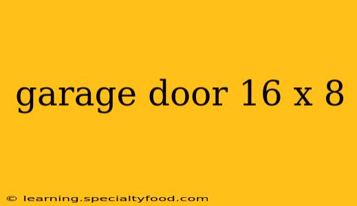 garage door 16 x 8