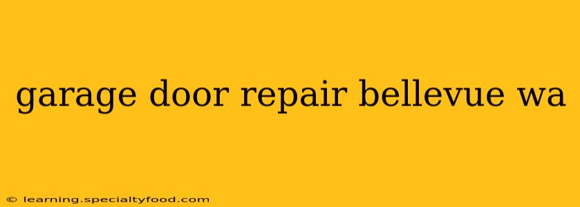 garage door repair bellevue wa