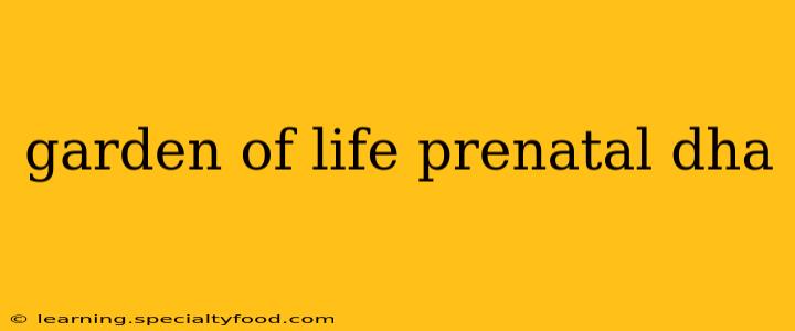 garden of life prenatal dha